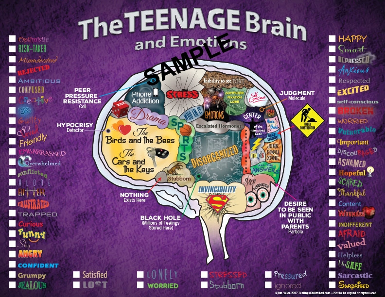 Brain Teen 118